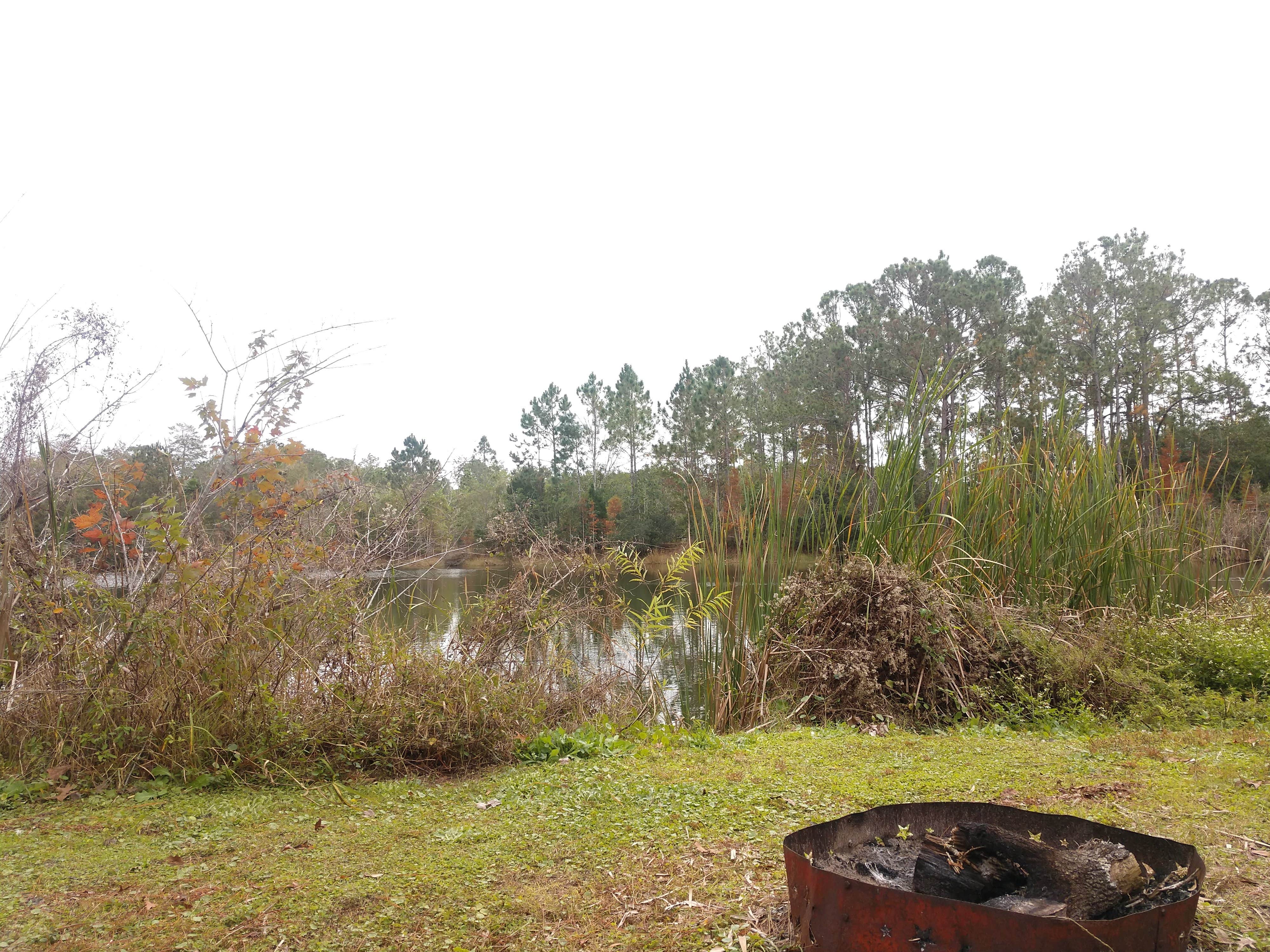 Camper-submitted photo at Cody's RV Park near Aripeka, FL