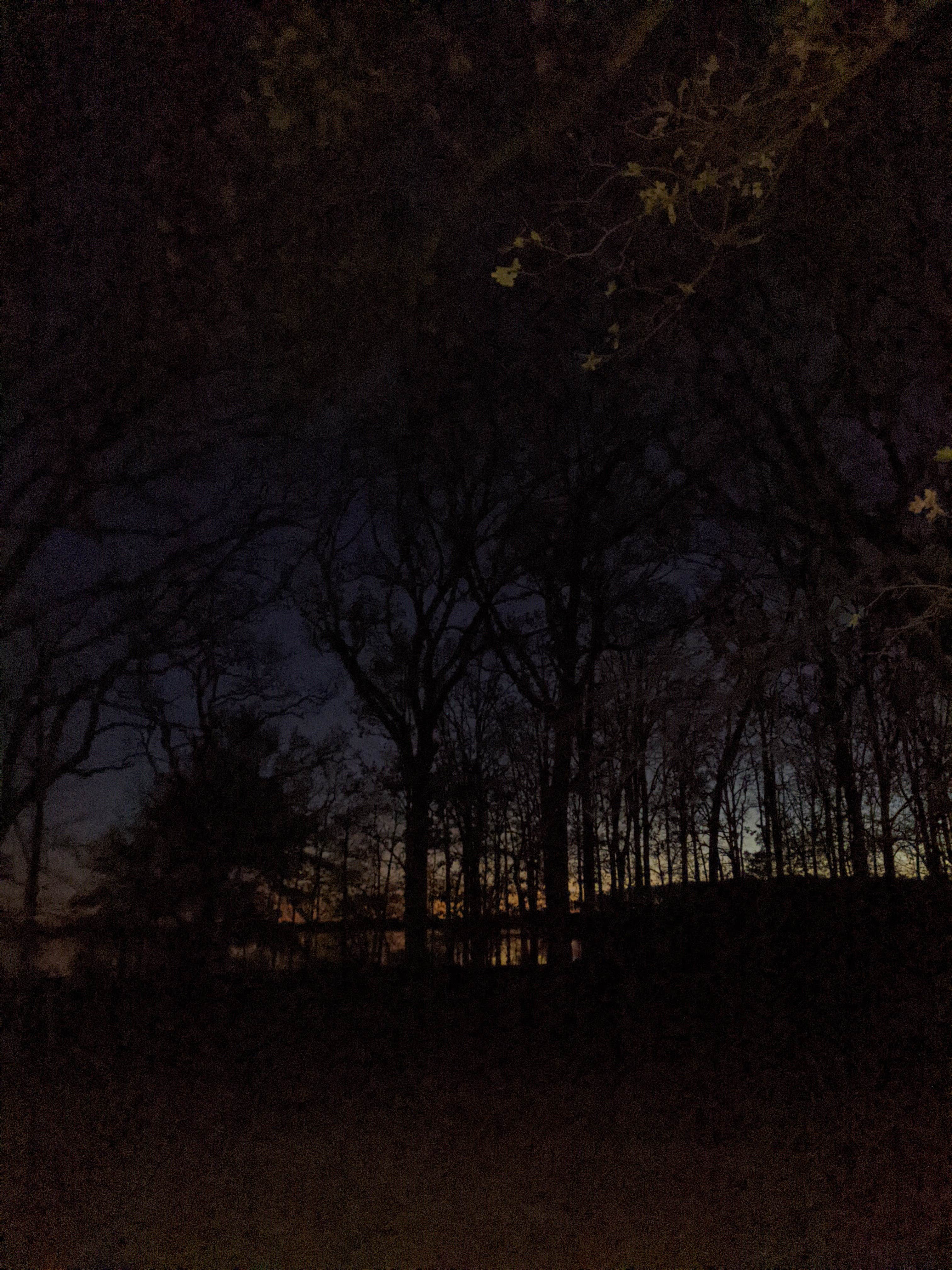 Camper-submitted photo at Liberty Grove Campground — Cooper Lake State Park Doctors Creek Unit near Fate, TX