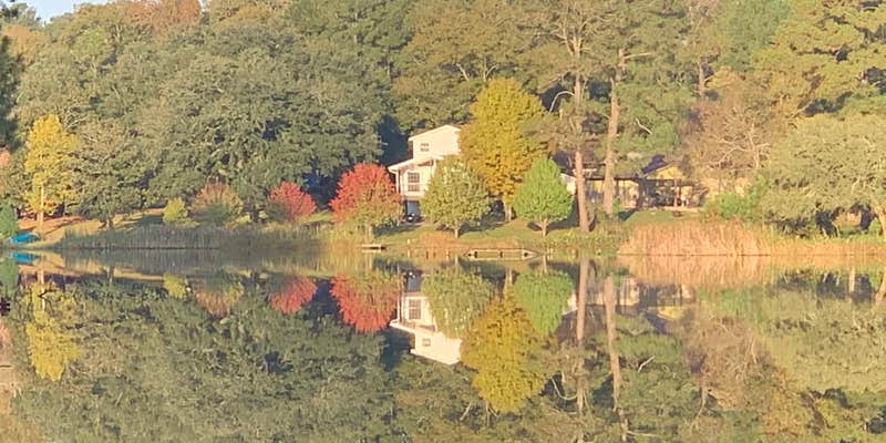 Camper submitted image from Woodsy Hollow Campground & RV Resort