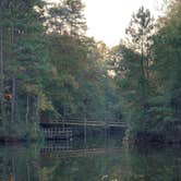 Review photo of Woodsy Hollow Campground & RV Resort by Curt , December 19, 2020