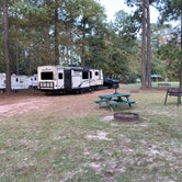 Review photo of Woodsy Hollow Campground & RV Resort by Curt , December 19, 2020