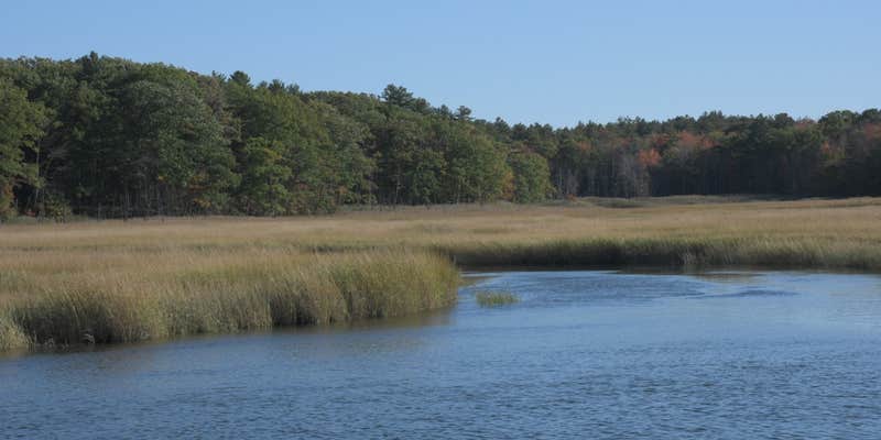 Camper submitted image from Wild Duck Adult Campground & RV Park