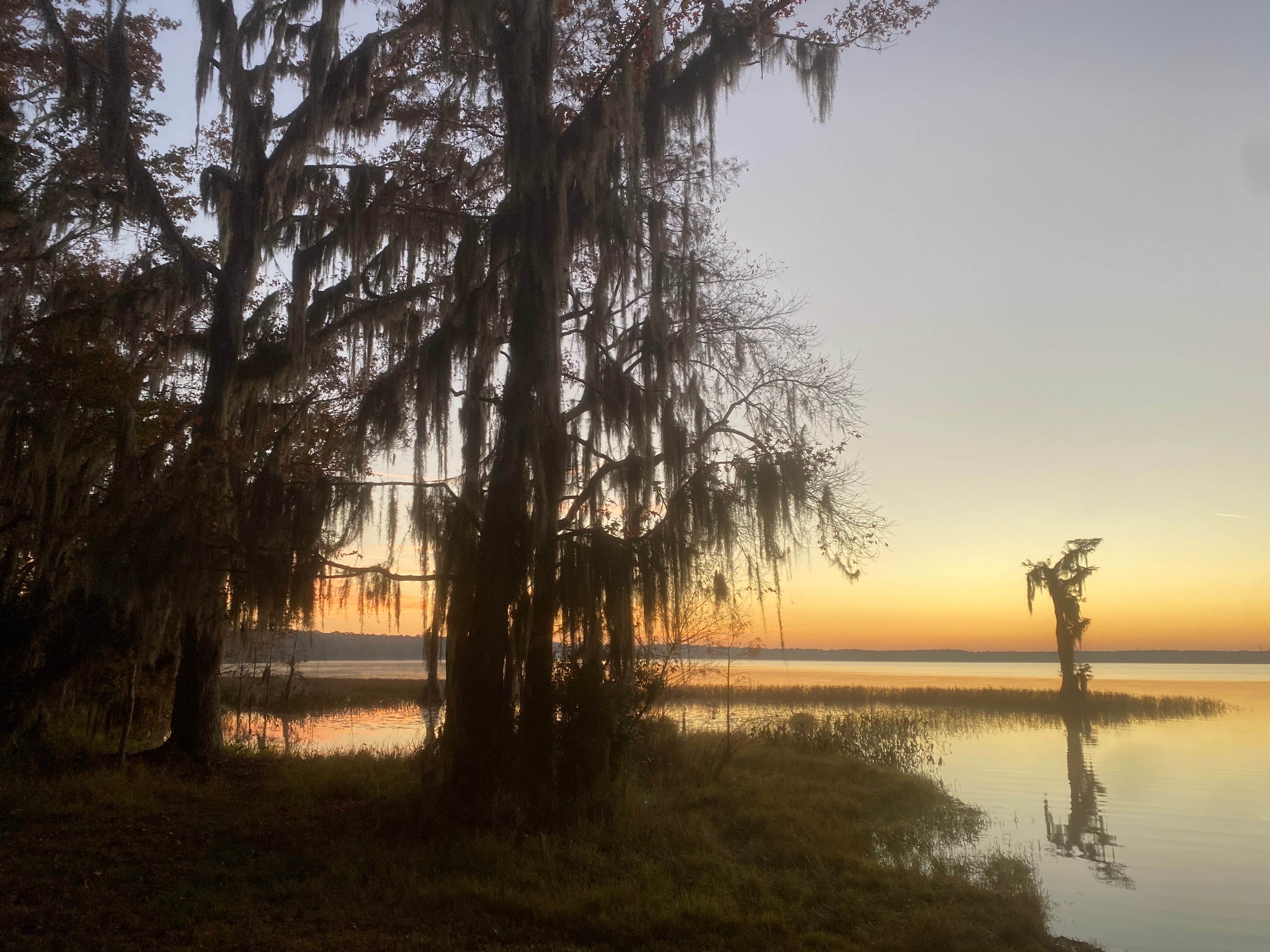 Camper-submitted photo at Osceola National Forest Hog Pen Landing Campground near Lake City, FL