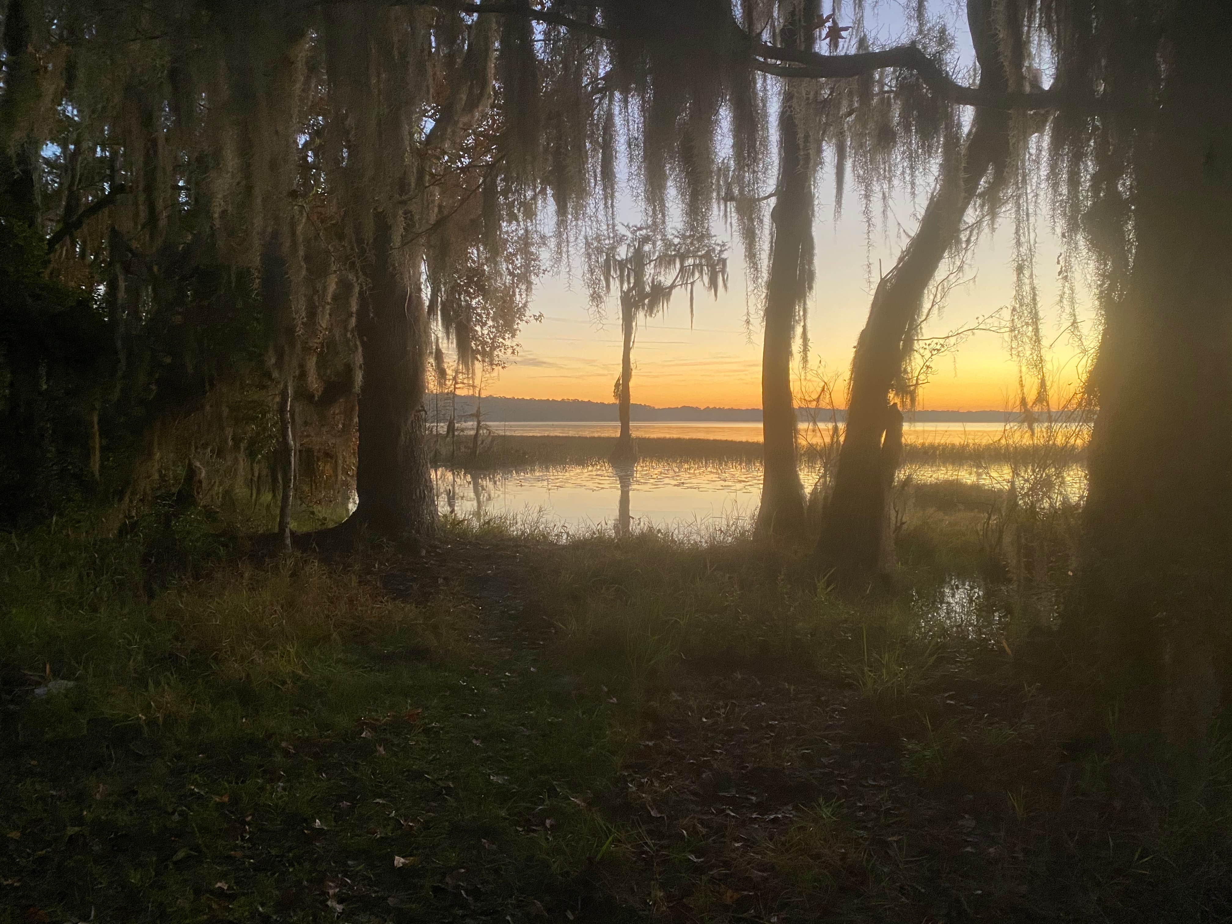 Camper-submitted photo at Osceola National Forest Hog Pen Landing Campground near Lake City, FL