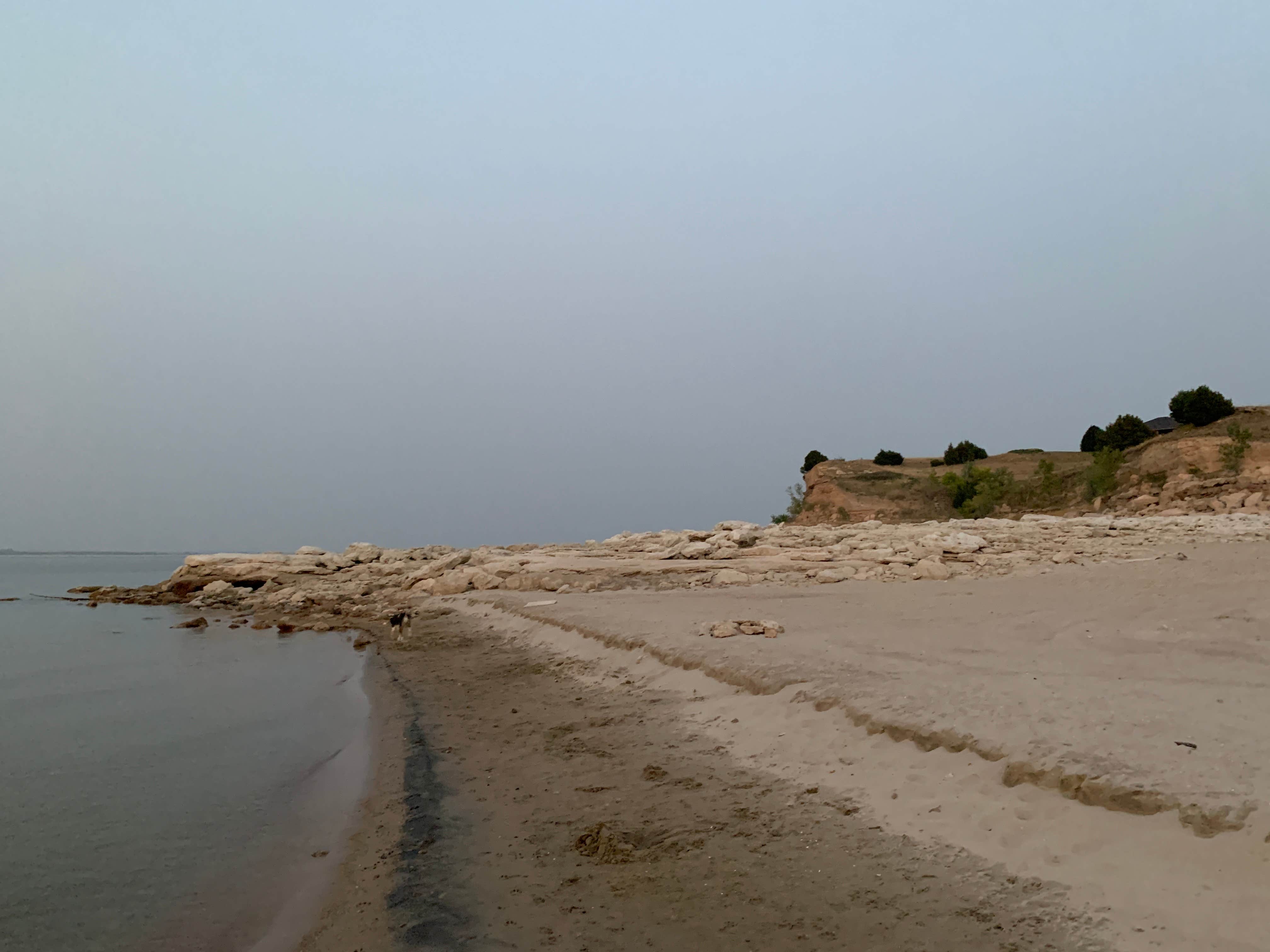 View All