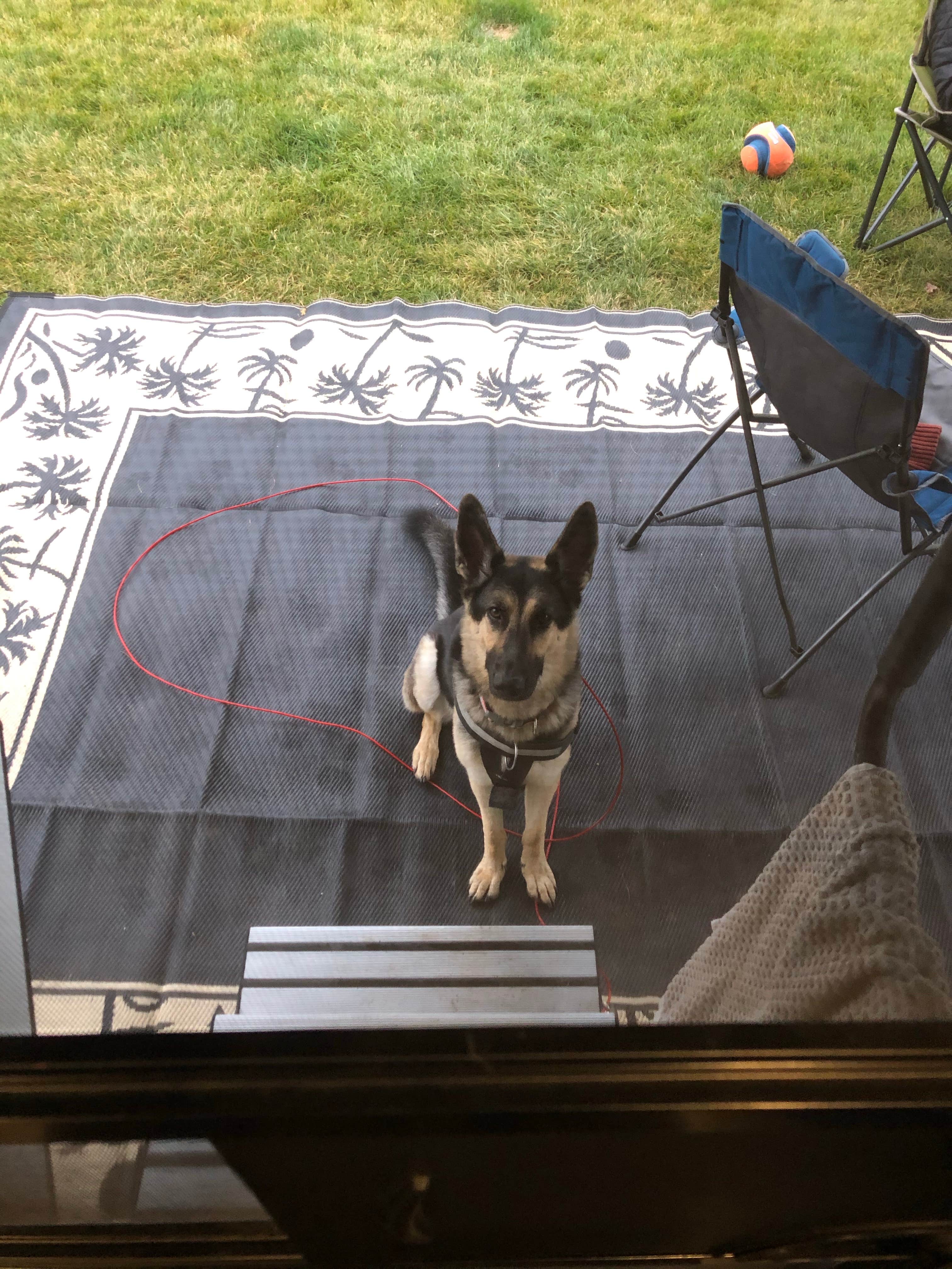 Camper-submitted photo at Black Beach Campground near Illgen City, MN