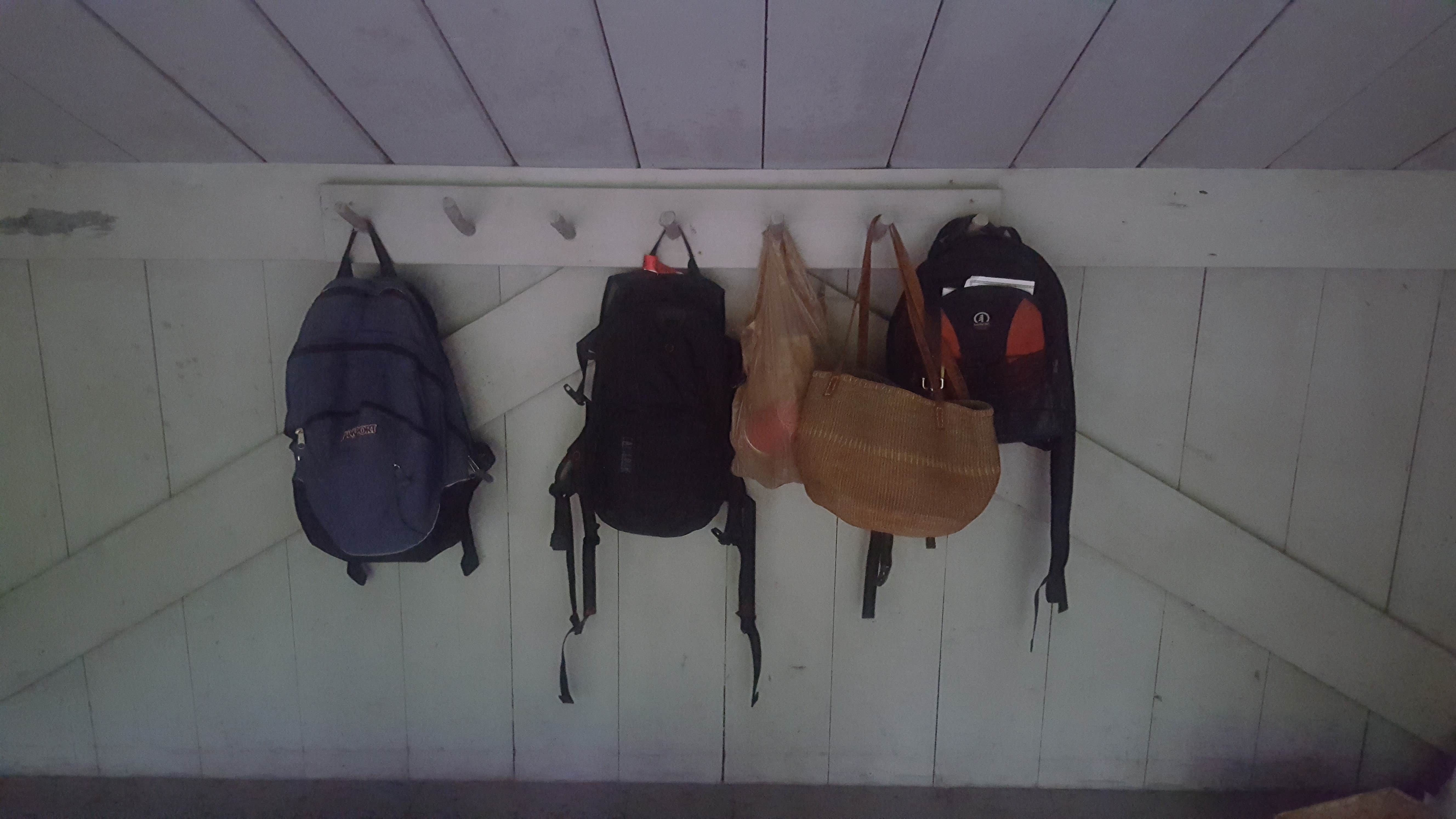 Camper-submitted photo at Jamaica State Park Campground near Whately, MA