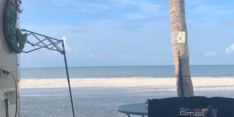 Camper submitted image from Red Coconut RV Park - PERMANENTLY CLOSED