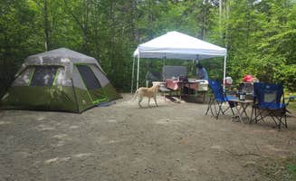 M.A.D. P.'s photo at Ricker Campground near Perkinsville, VT
