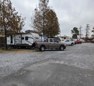 Camper-submitted photo from Jude Travel Park of New Orleans