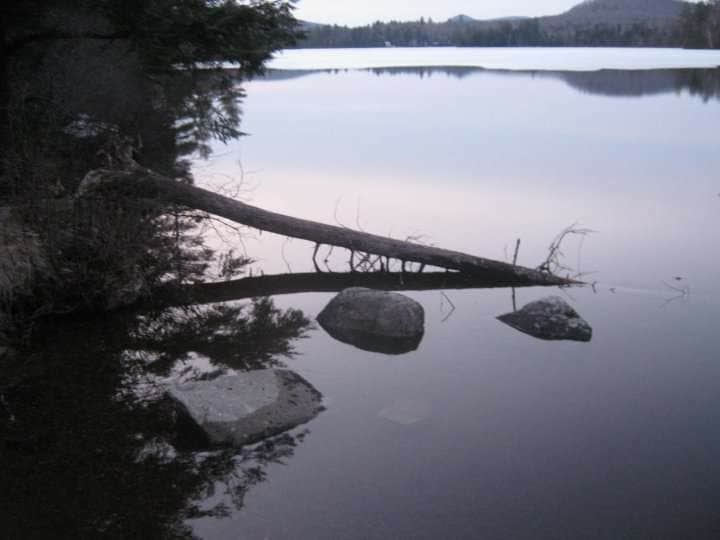 View All