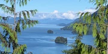 Camper submitted image from Nemo Campsites Entry & Info Site