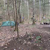 Review photo of Bear Creek Horse Camp — Big South Fork National River and Recreation Area by Nate H., December 19, 2020