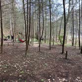 Review photo of Bear Creek Horse Camp — Big South Fork National River and Recreation Area by Nate H., December 19, 2020