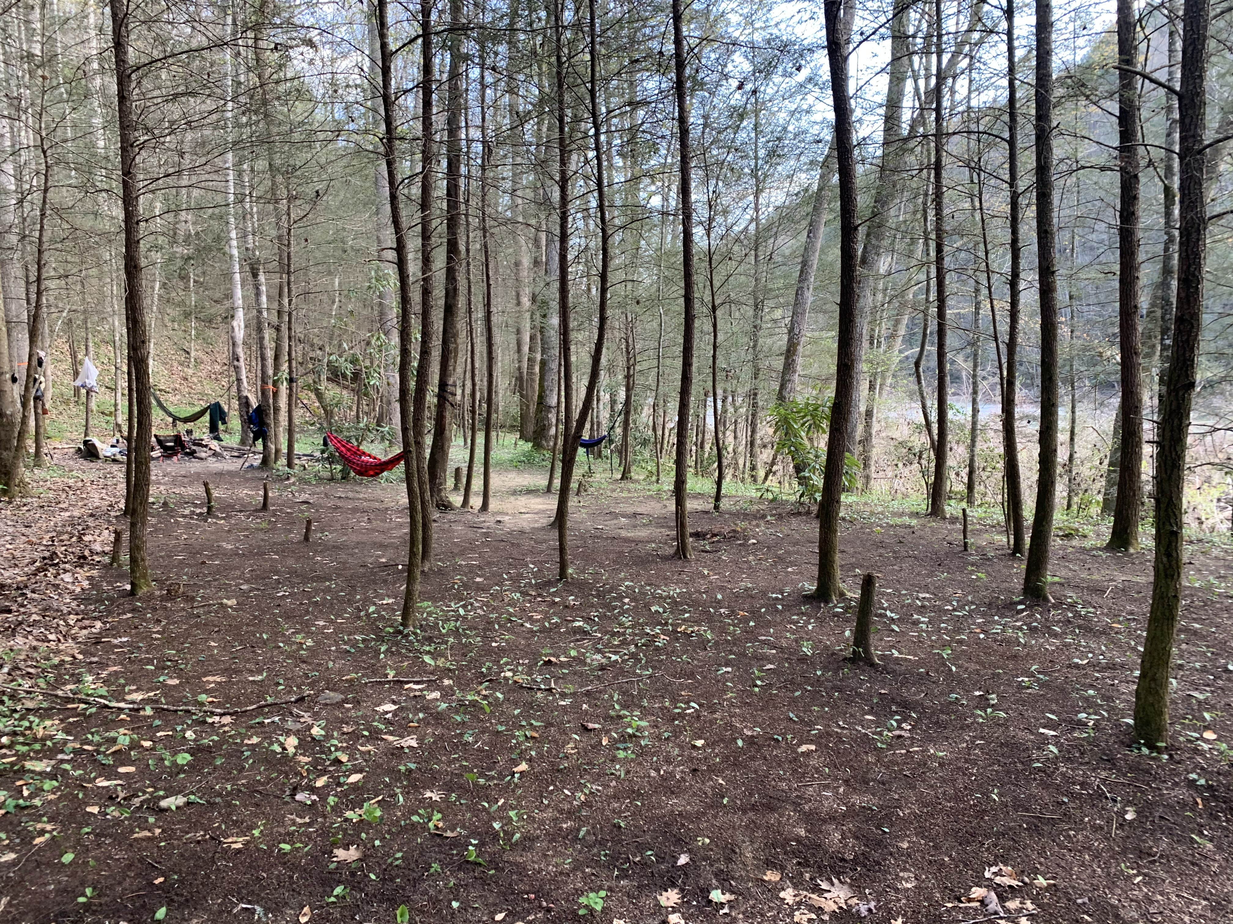 Camper submitted image from Bear Creek Horse Camp — Big South Fork National River and Recreation Area - 4