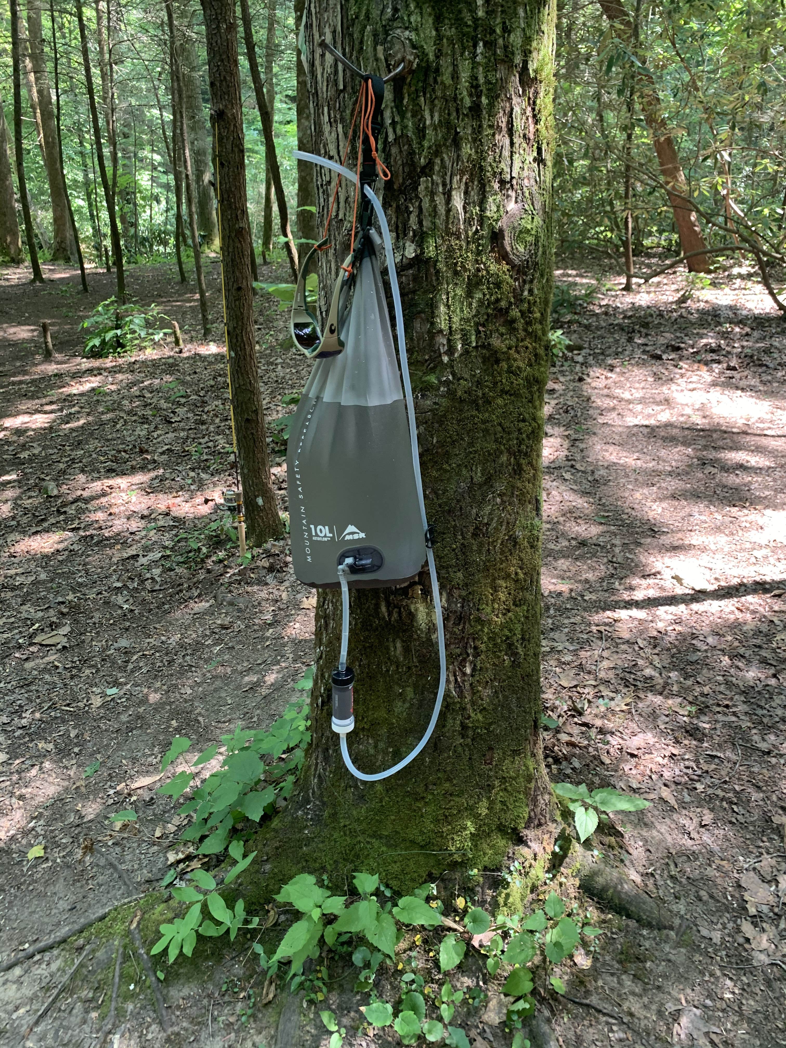 Camper submitted image from Bear Creek Horse Camp — Big South Fork National River and Recreation Area - 4