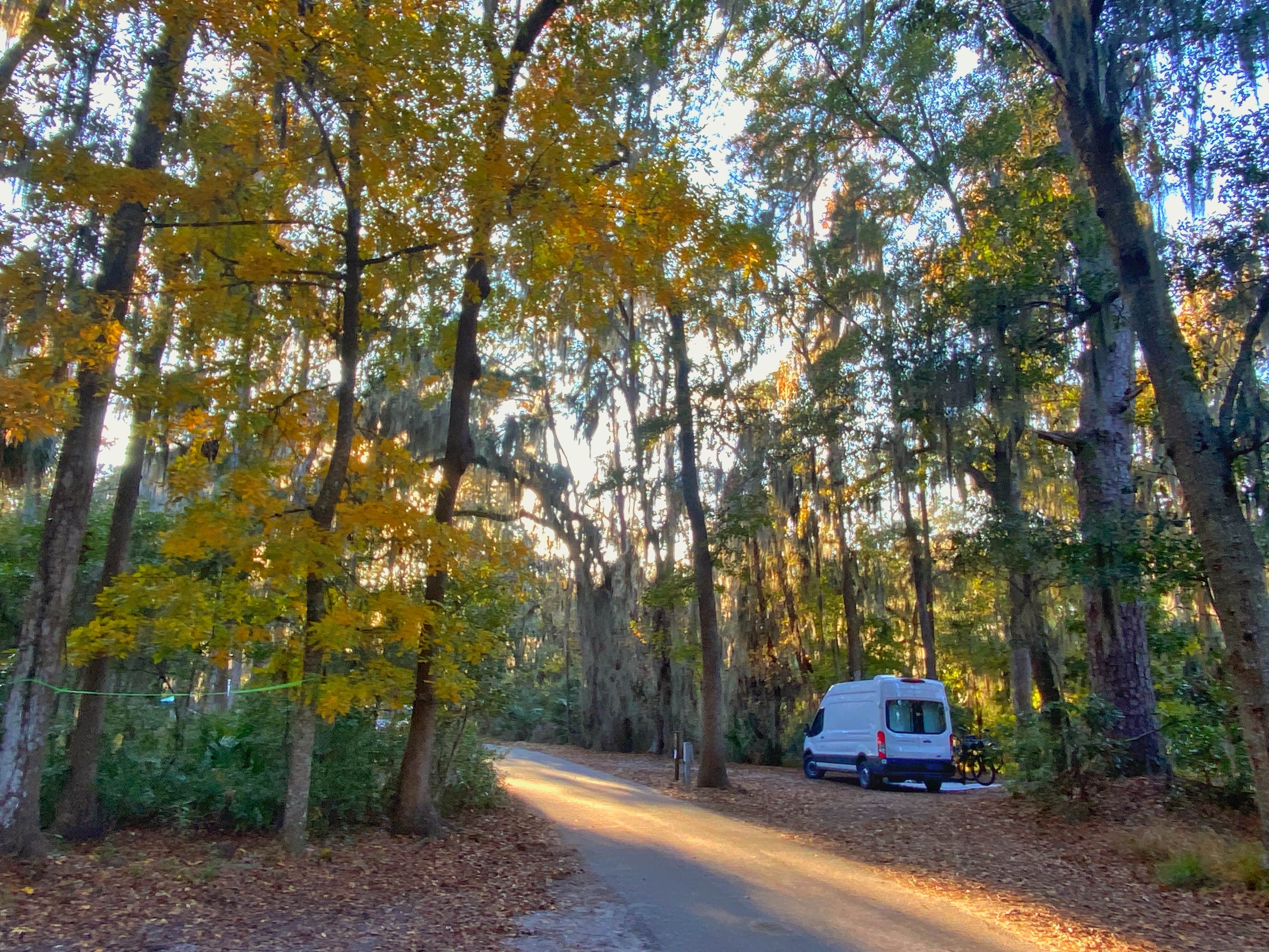 Camper-submitted photo at Skidaway Island State Park Campground in Georgia