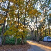 Review photo of Skidaway Island State Park Campground by Josh S., December 19, 2020