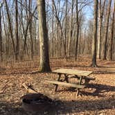 Review photo of Buffalo Ridge Campground — Brown County State Park by Denise , December 19, 2020