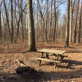 Review photo of Buffalo Ridge Campground — Brown County State Park by Denise , December 19, 2020