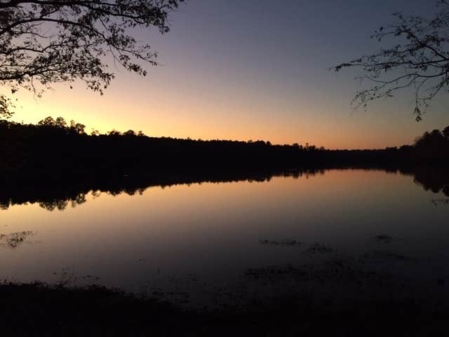 Camper submitted image from Hamburg State Outdoor Recreation Area - 4