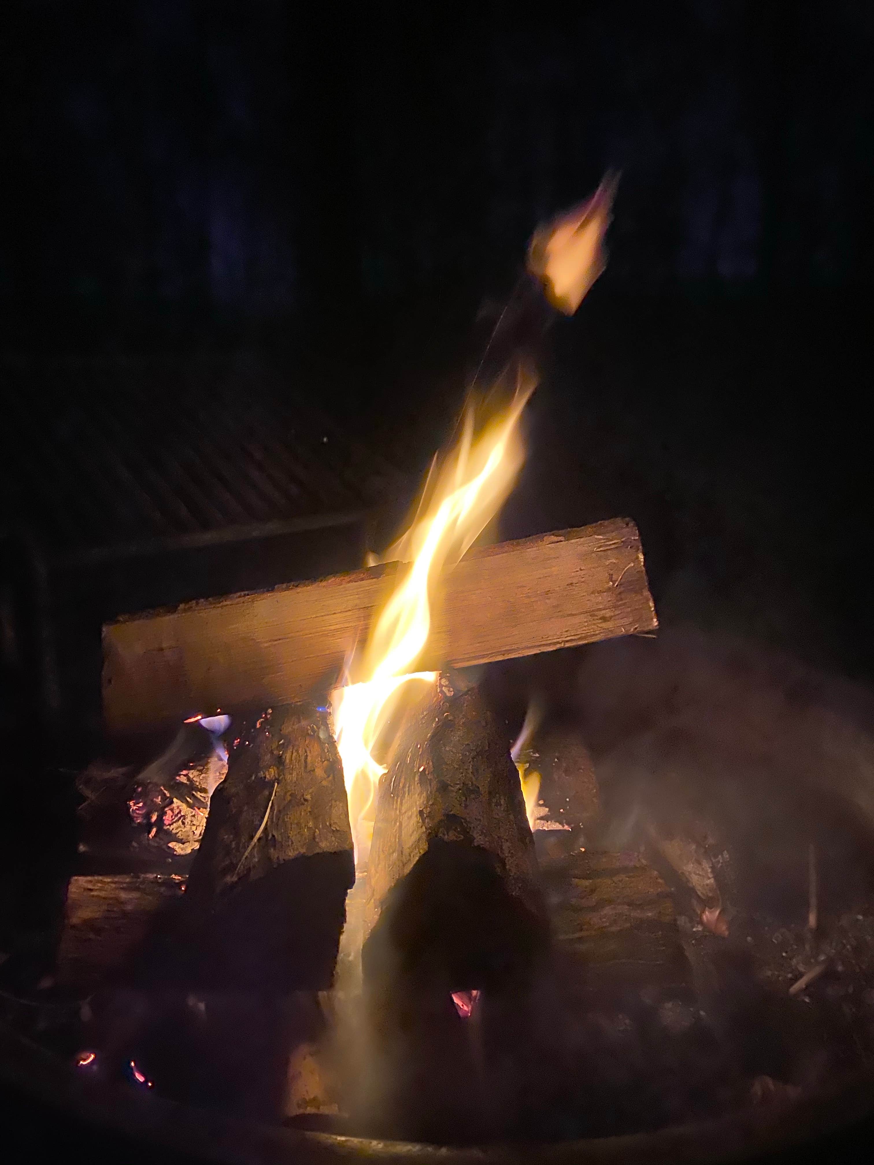 Camper-submitted photo at Sweetwater Creek State Park Campground near Chattahoochee Hills, GA