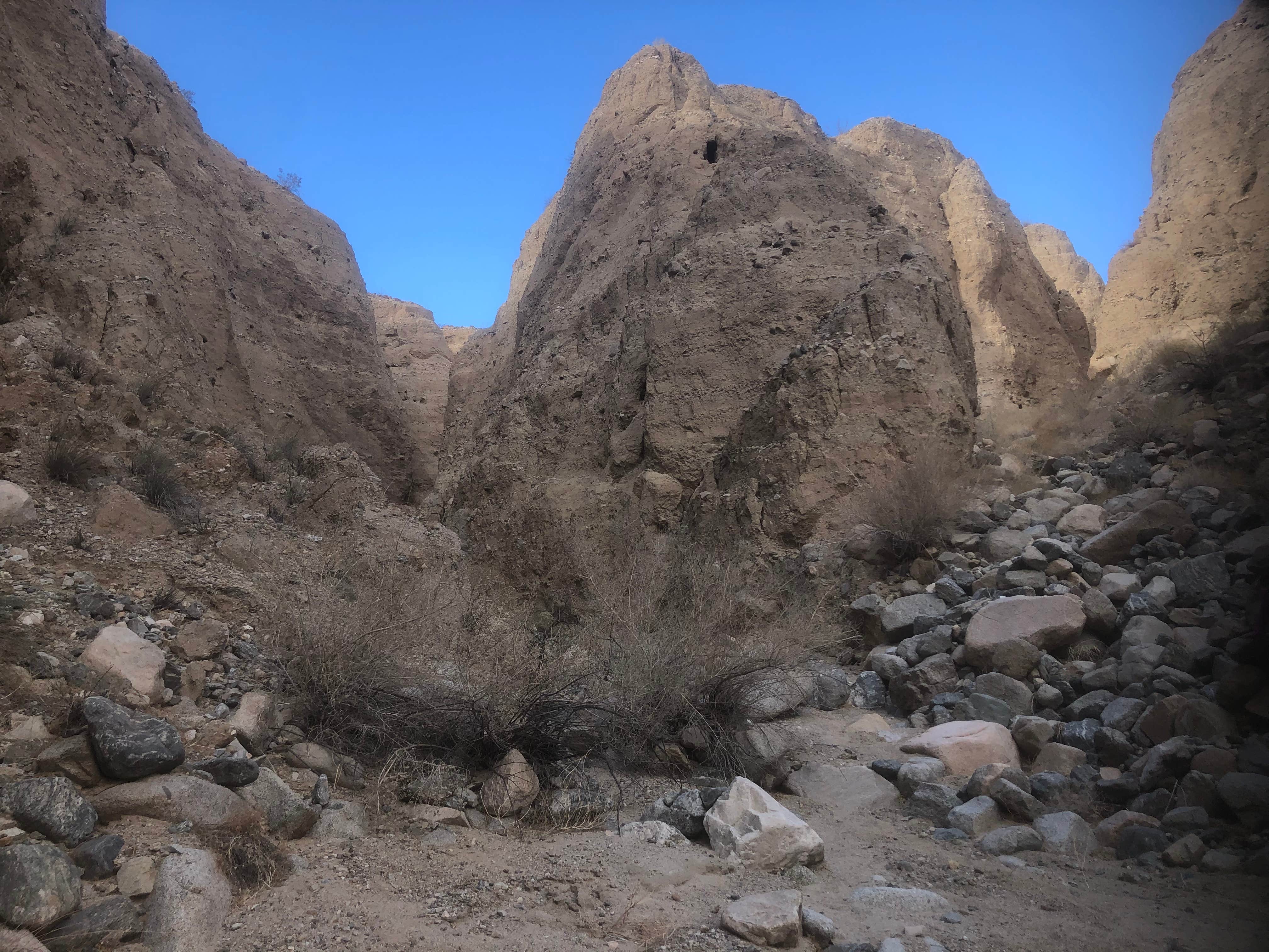 Camper-submitted photo at Dispersed Camping near Pixley, CA