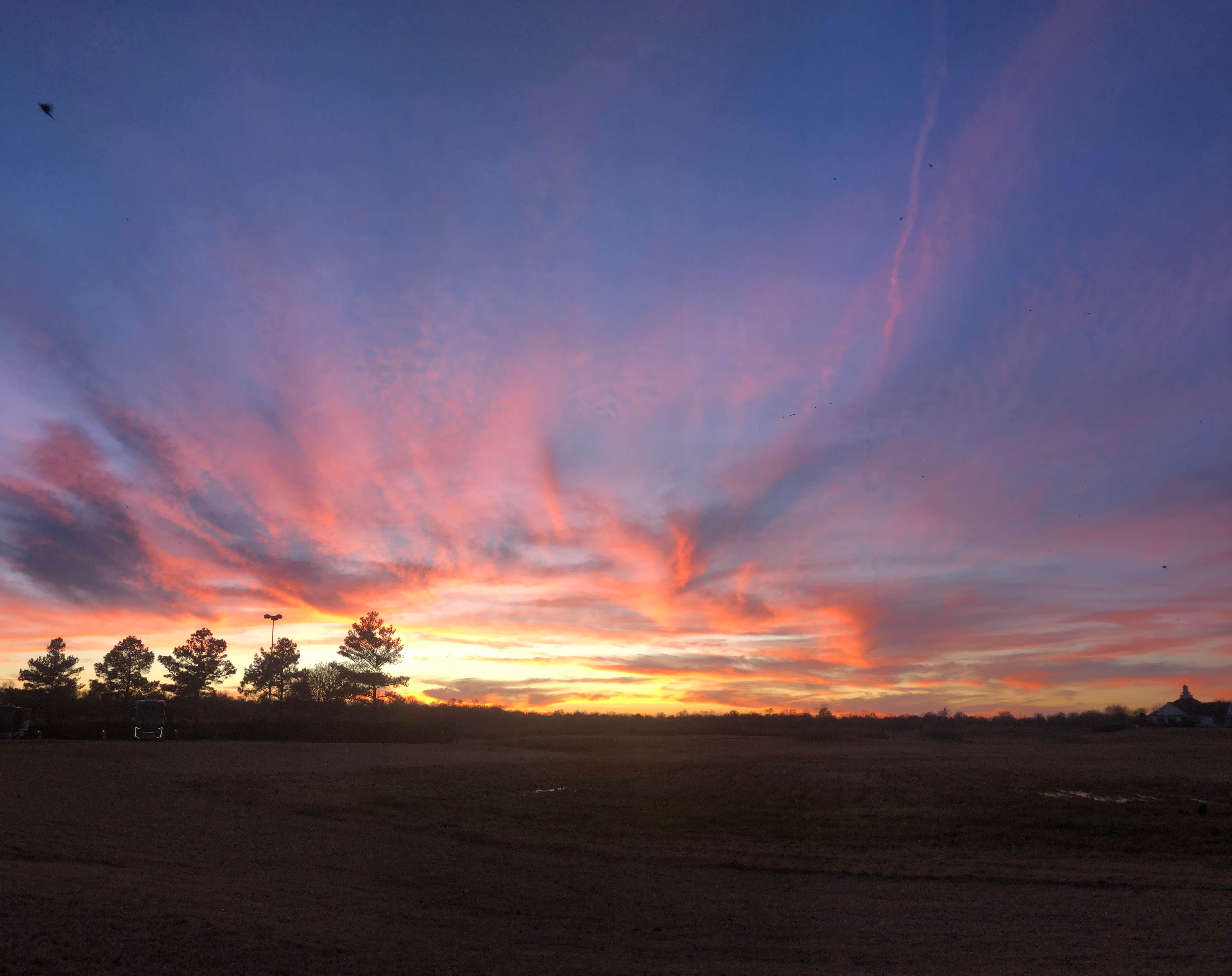 Camping near Saint Francis National Forest Boundary Campground: Hollywood Casino RV Park - Tunica, Robinsonville, Mississippi
