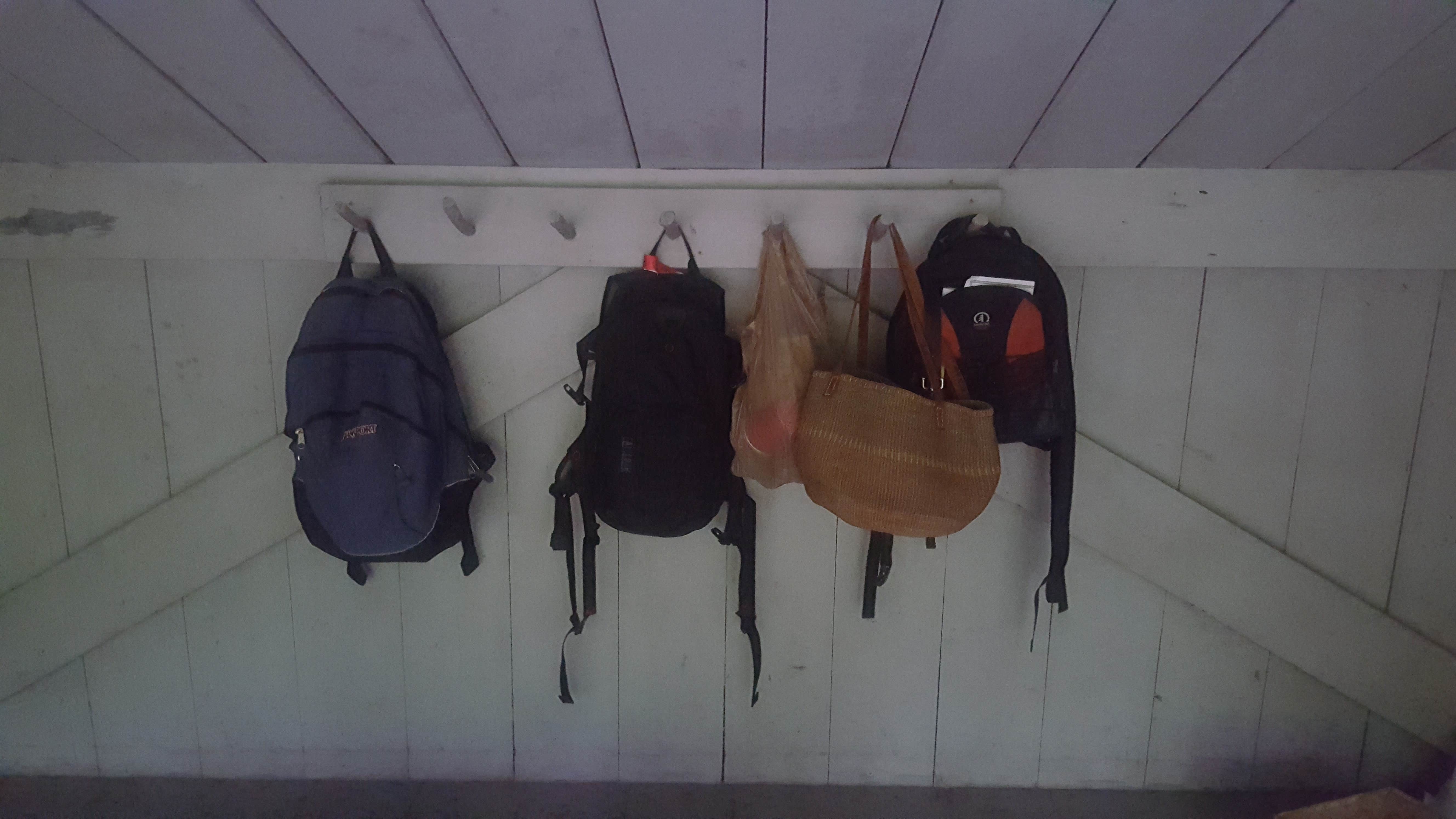 Camper-submitted photo at Jamaica State Park Campground near Whately, MA