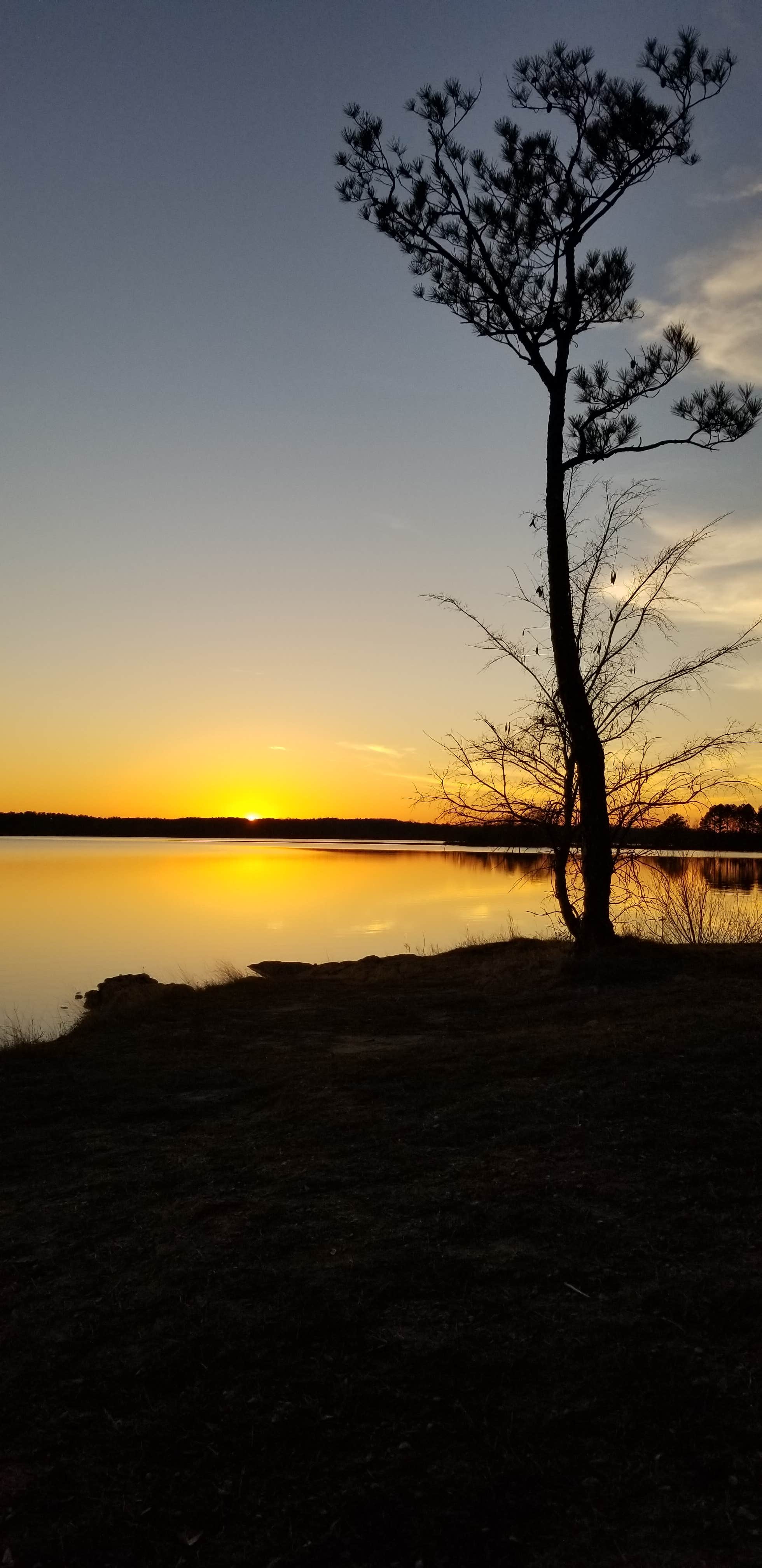 Camper submitted image from Georgia Power Lake Juliette Dames Ferry Park - 2