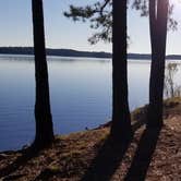 Review photo of Georgia Power Lake Juliette Dames Ferry Park by Chad F., December 20, 2020