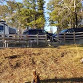 Review photo of Georgia Power Lake Juliette Dames Ferry Park by Chad F., December 20, 2020