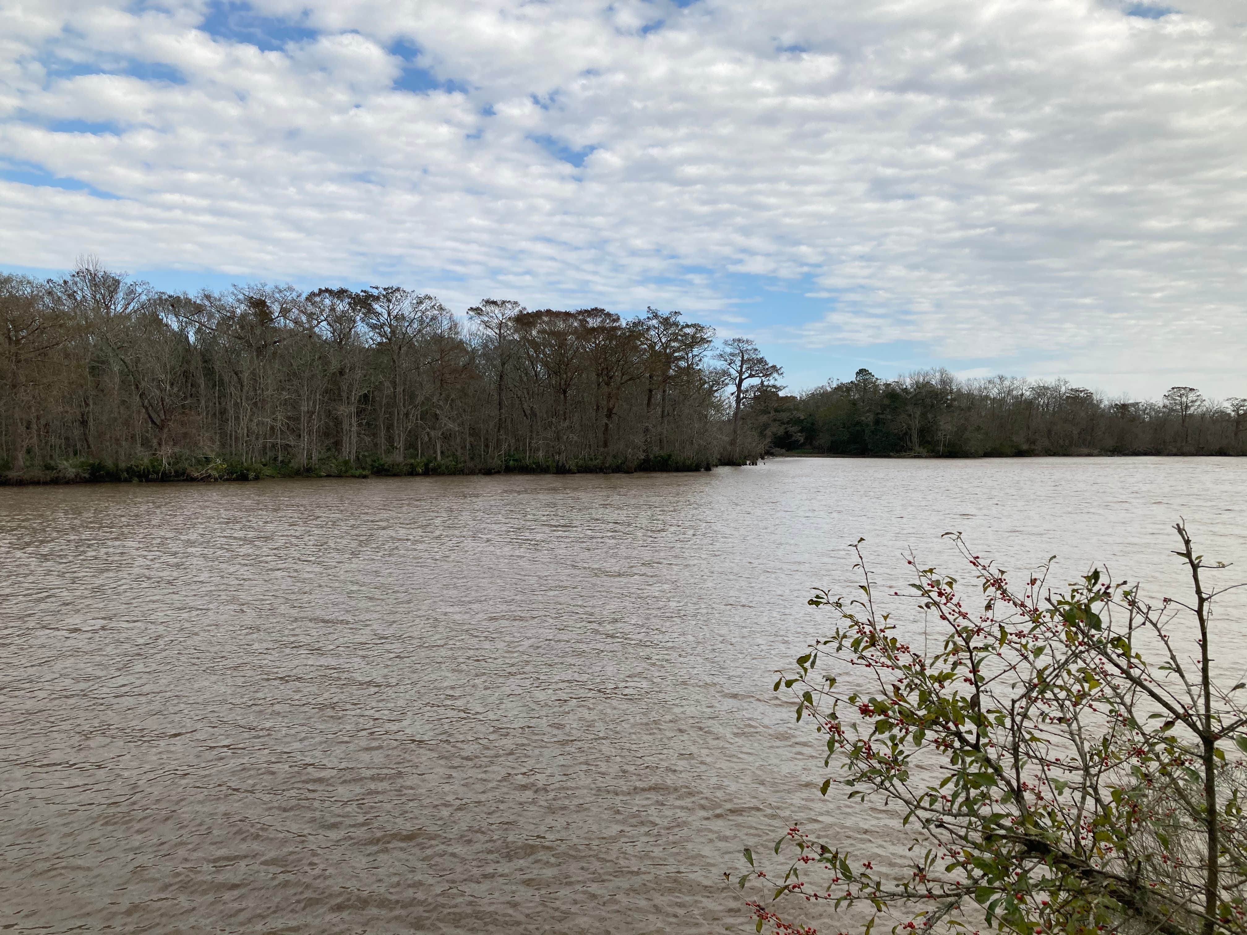 Camper-submitted photo at Palmetto Island State Park Campground near Abbeville, LA