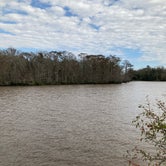 Review photo of Palmetto Island State Park Campground by Kevin H., December 20, 2020