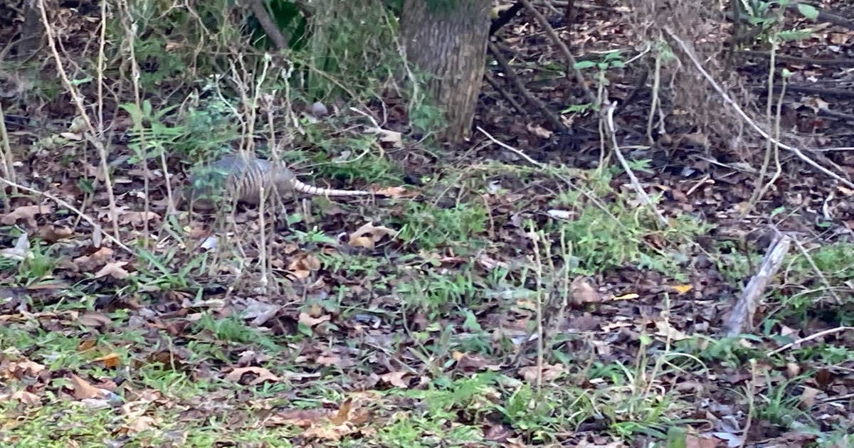 Palmetto Island State Park Campground - Main photo