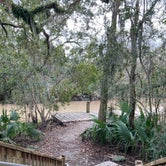 Review photo of Palmetto Island State Park by Kevin H., December 20, 2020