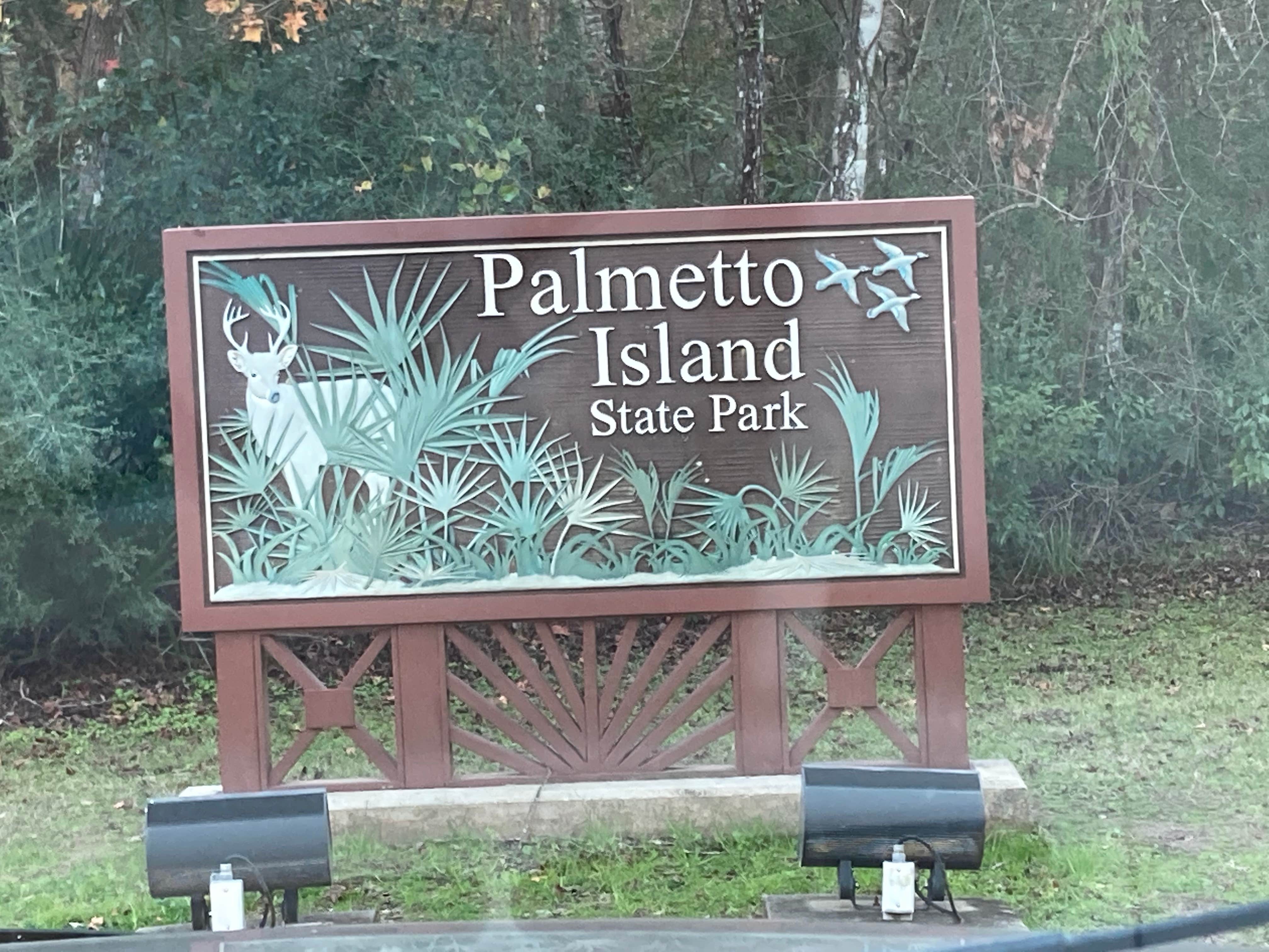 Camper submitted image from Palmetto Island State Park Campground - 4