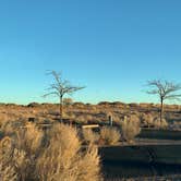 Review photo of Homolovi State Park Campground by Emma A., December 20, 2020
