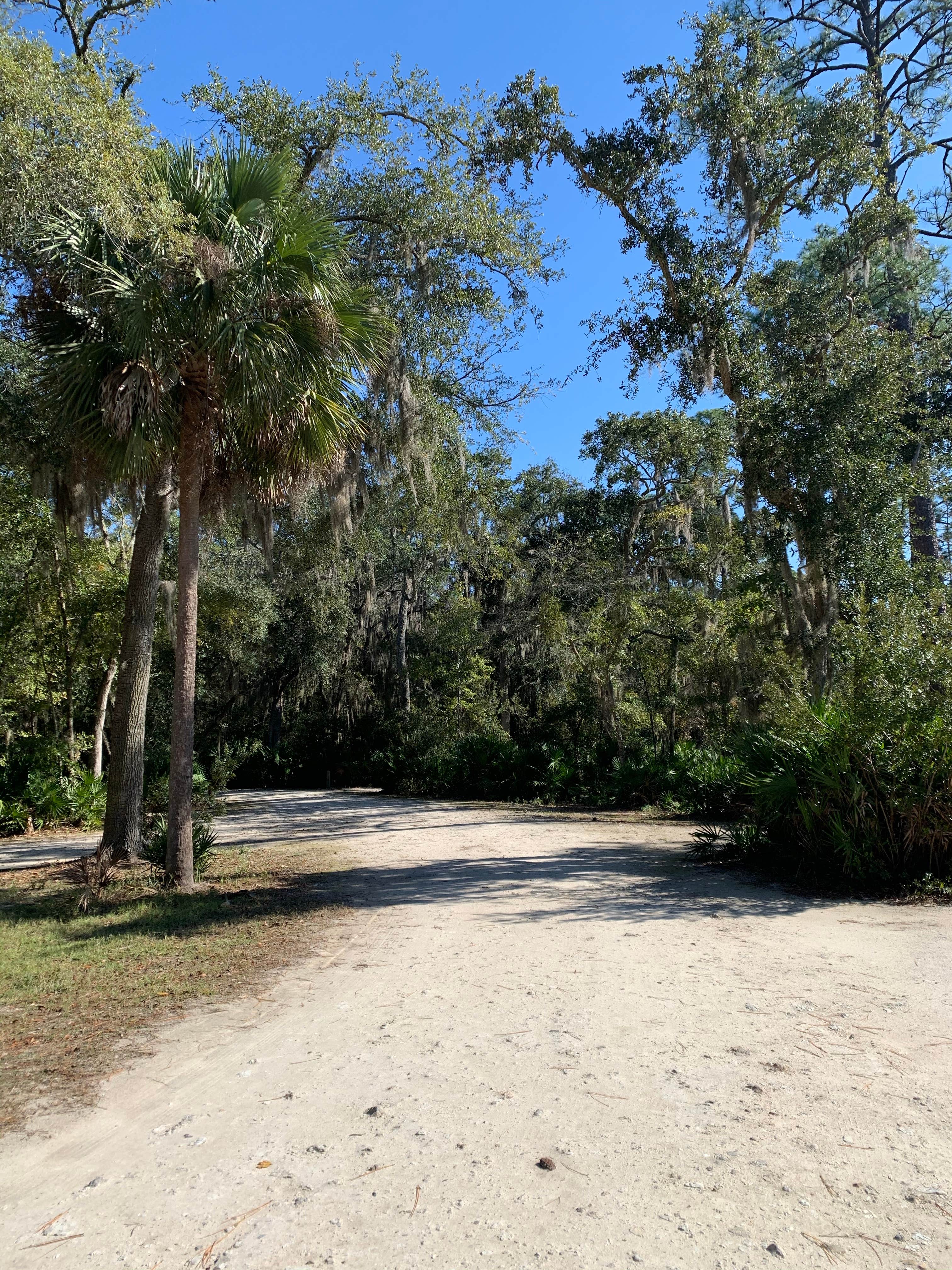 Camper-submitted photo at Blythe Island Regional Park near Brunswick, GA