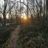 Review photo of Davy Crockett Birthplace State Park Campground by Gregg G., December 20, 2020