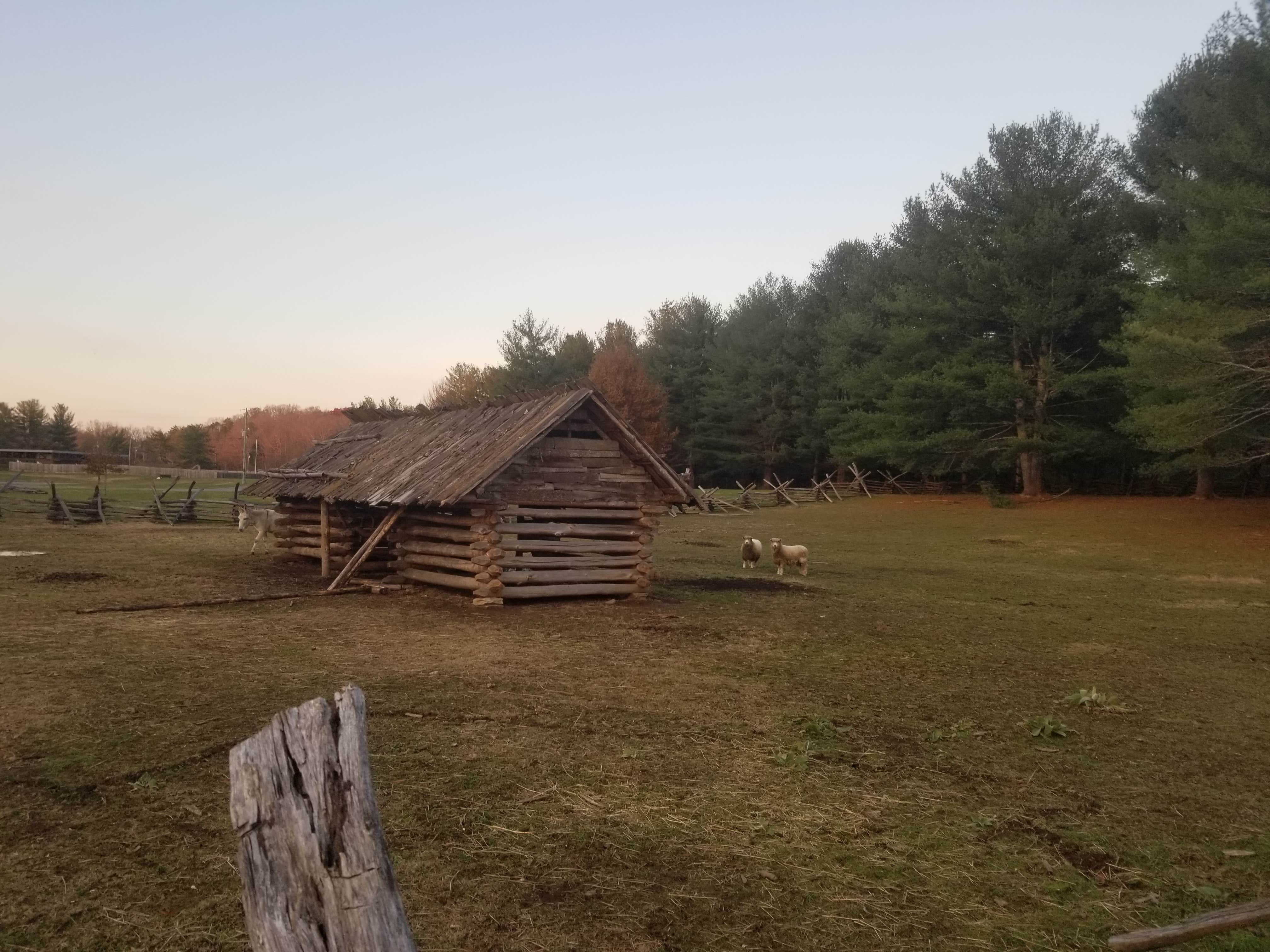 Camper-submitted photo at Davy Crockett Birthplace State Park Campground near Greeneville, TN