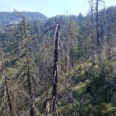 Review photo of Valley Forge Trail Camp hike in. no drive by CodyRay C., May 25, 2018