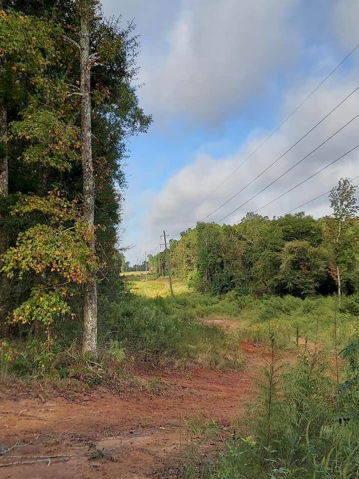 Camper-submitted photo at Silver Creek Campground Inc near Franklinton, LA