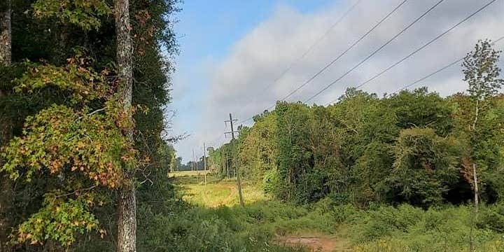 Camper submitted image from Silver Creek Campground Inc