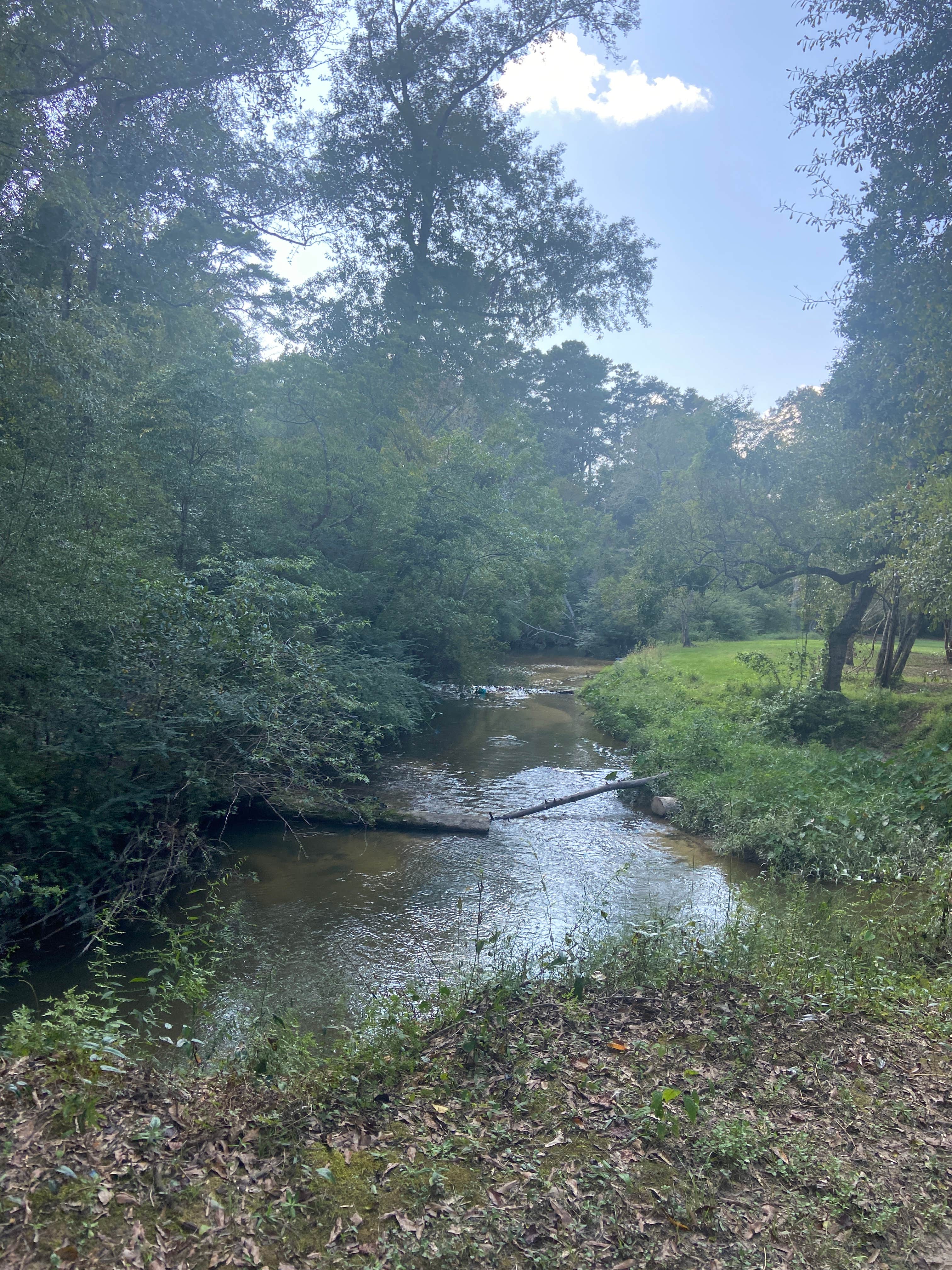 Camper-submitted photo at Silver Creek Campground Inc near Franklinton, LA