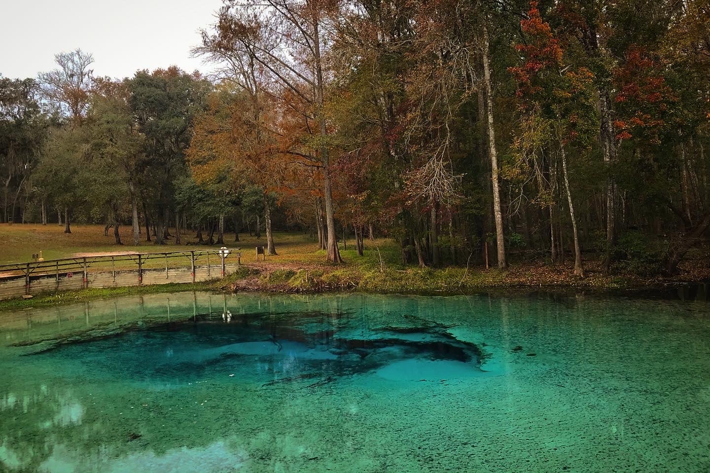 Camper submitted image from Gilchrist Blue Springs State Park Campground - 1