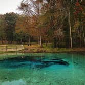 Review photo of Gilchrist Blue Springs State Park Campground by Chelsea C., December 20, 2020