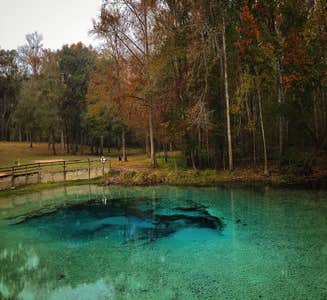 Camper-submitted photo from Suwannee River State Park Campground