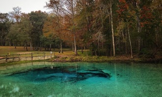 Camping near Ginnie Springs Outdoors: Gilchrist Blue Springs State Park Campground, High Springs, Florida
