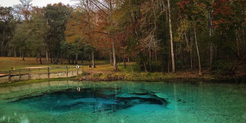 Camper submitted image from Gilchrist Blue Springs State Park Campground